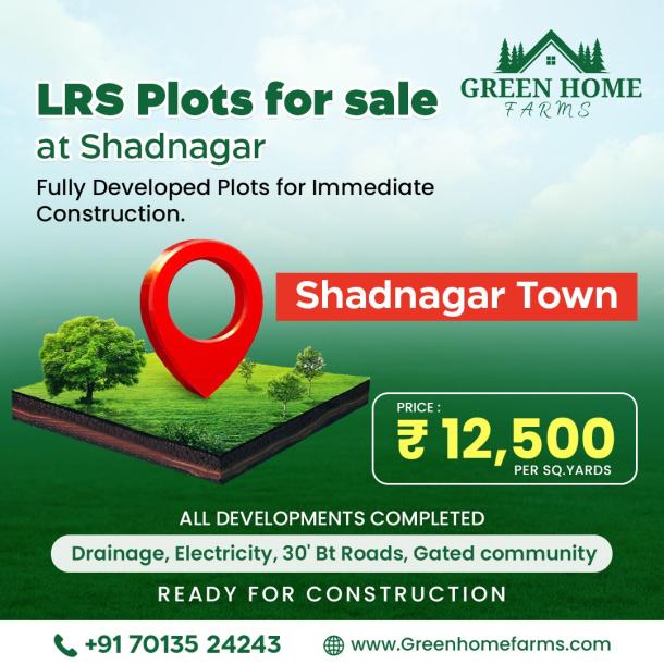 Open Plots for Sale in Shadnagar | R1 Zone | ₹12,500 per Sq.Yd-1